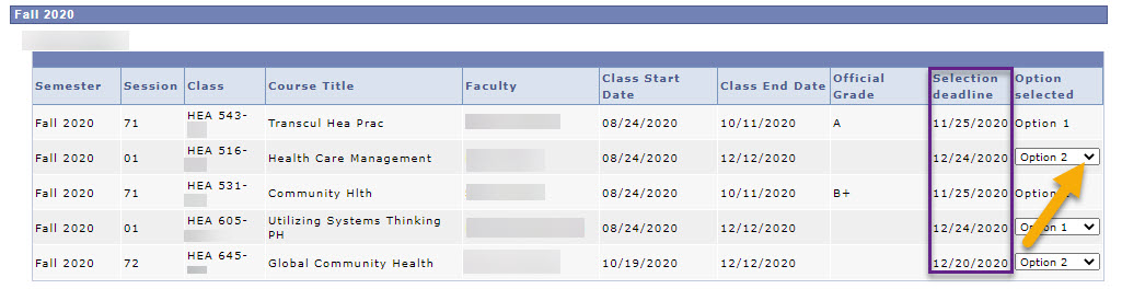 Alternative Grading Options