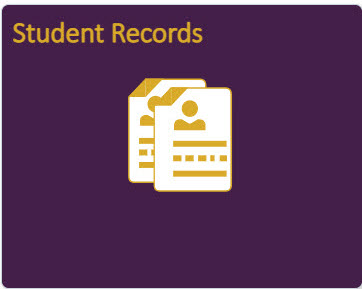 Chairperson List of Student with Scheduling Flag 1