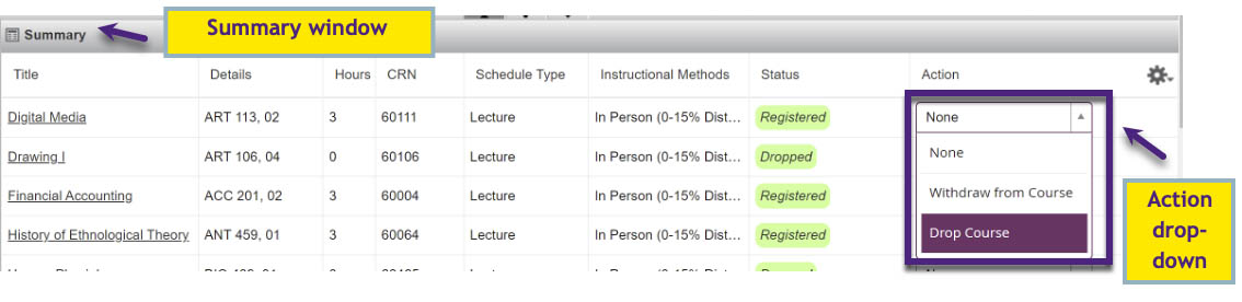 Fig 3: Summary window showing the Action drop-down options