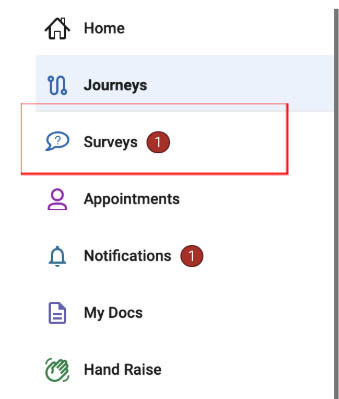 Navigate360 Placement Journey Surveys