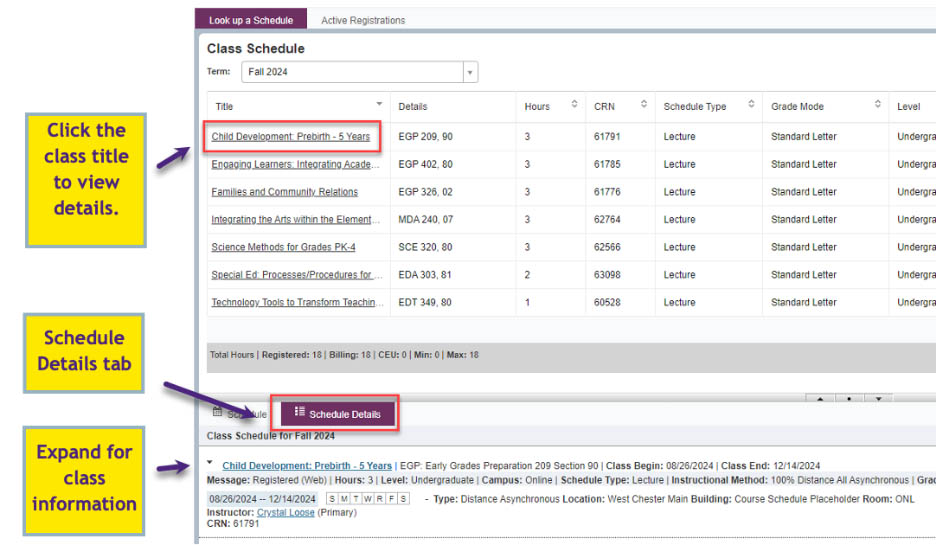 Asynchronous classes displayed in the List View and in the Schedule Details tab.