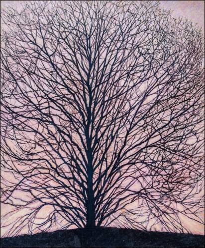 Soft Hues Behind the Web