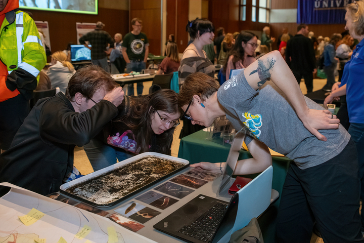 Dr. Megan Fork (Department of Biology) and festival participants examine stream invertebrates