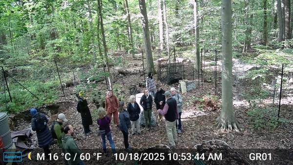 Participants in the Master Naturalists training session stop by the Gordon's Native Plant Nursery