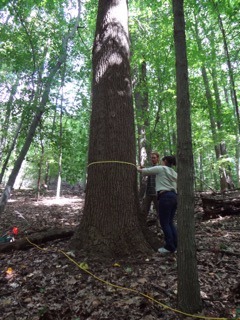 Students in Ecosystem Ecology assessing the GNA's aboveground biomass