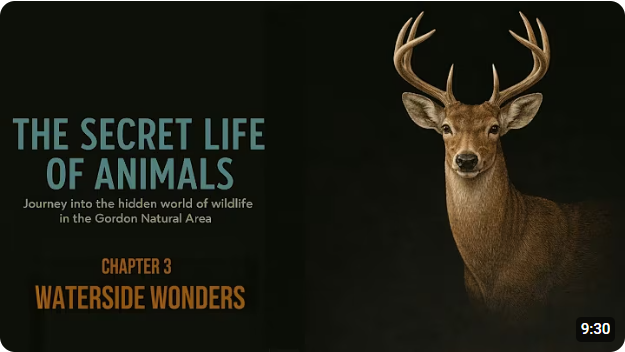 The Secret Life of Animal's - Part 3 The Secret Life of Animal's - Part 3