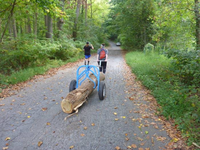 GNA Student Intern, Alexandra Hodowanec, moving a log to a heavily-eroded area