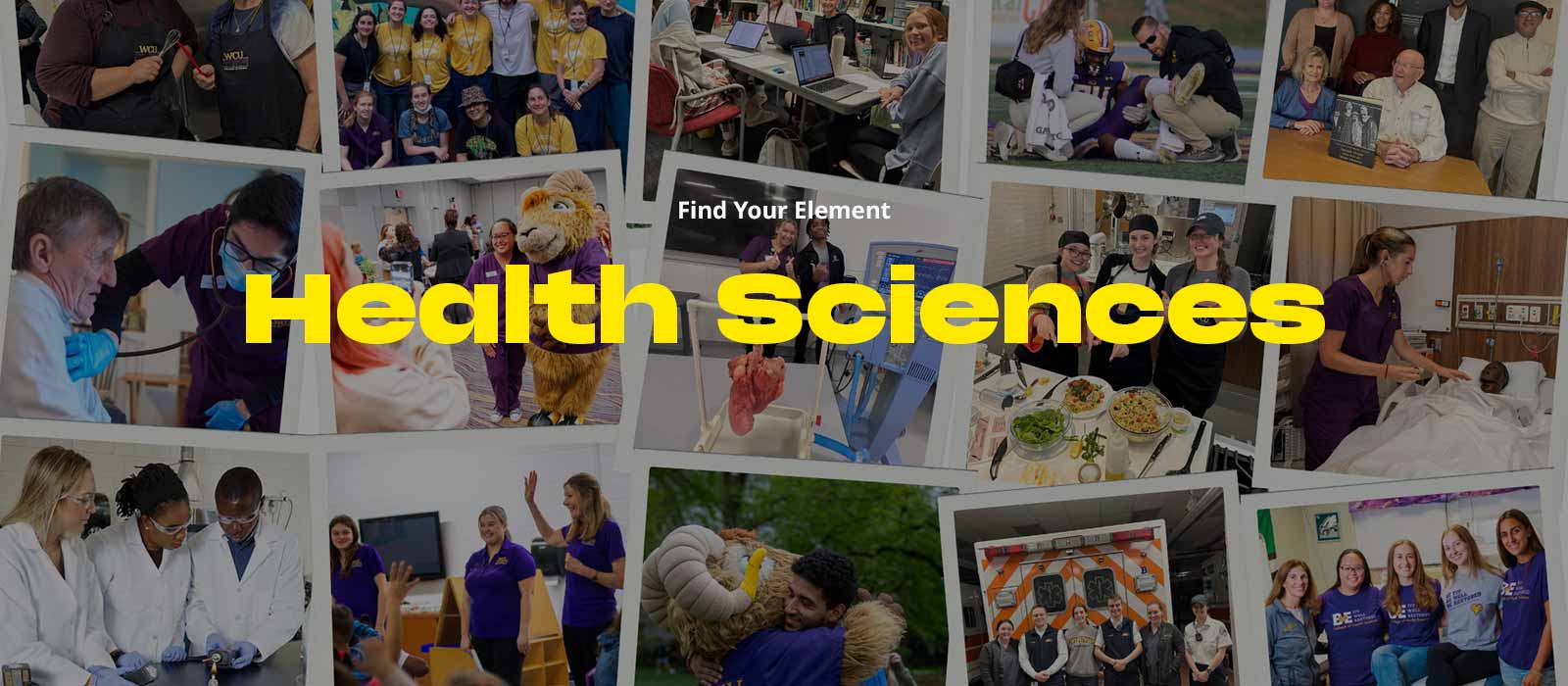 collage images from Health sciences - decorative - Words overlayed on top that say 'find your element' and 'Health Sciences'