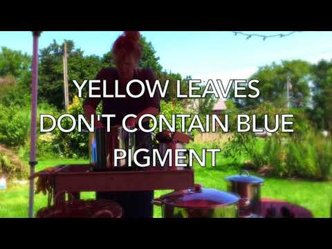 Dye video