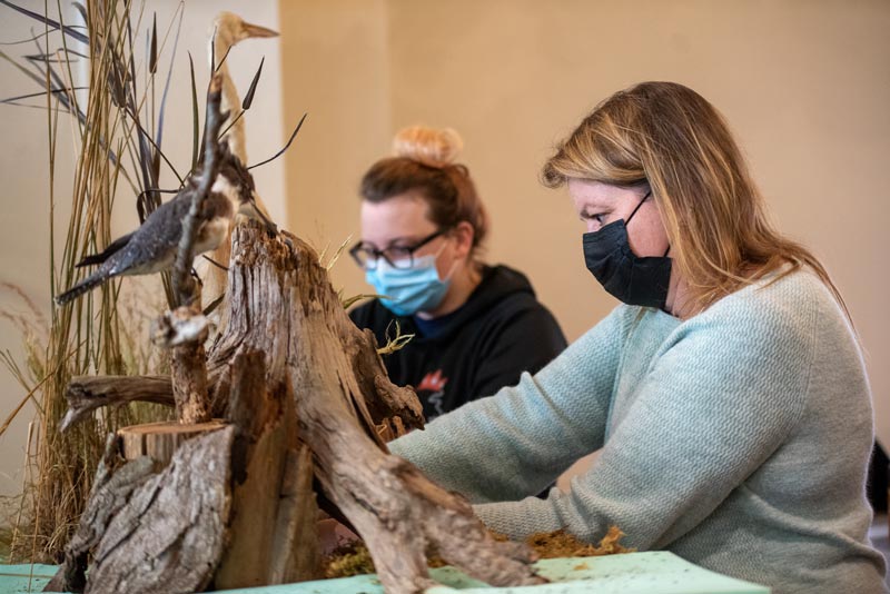 Making of the Exhibit