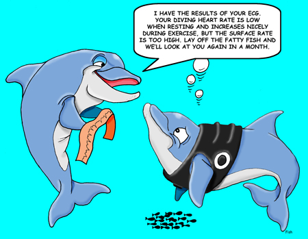 I have the results of your ECG. Your diving heart rate is low when resting and increases nicely during exercise, but the surface rate is too high. Lay off the fatty fish and we'll look at you again in a month. 