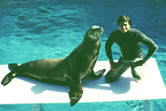 Fish with Sealion