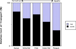 Relative Energy Chart