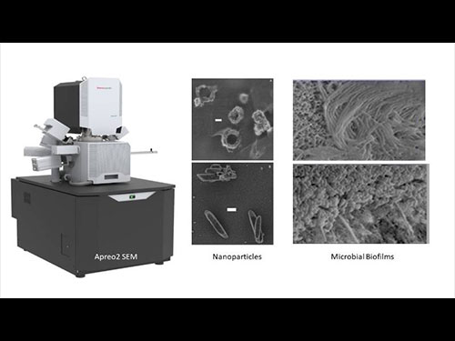 image of MRI machine along with 2 image scans