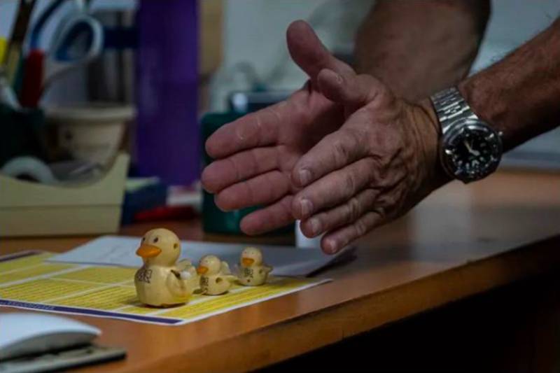 3 model ducks lined up in descending height