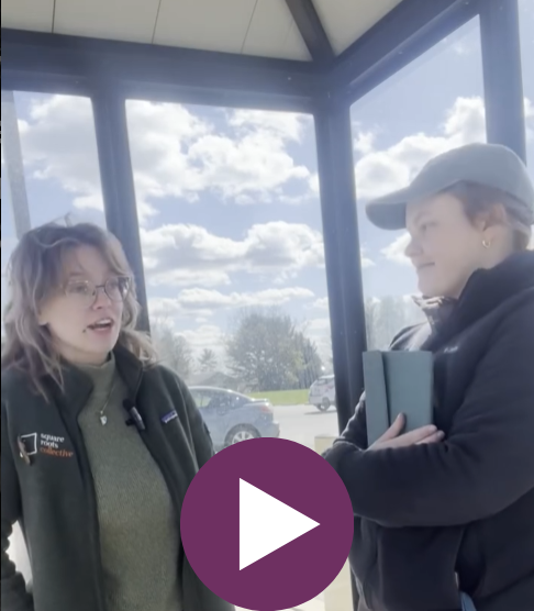 Decorative. Click to view video on Instagram